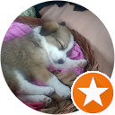 R.V. profile picture